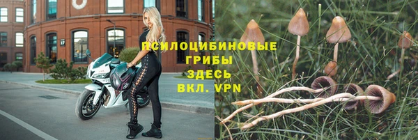 герыч Бородино