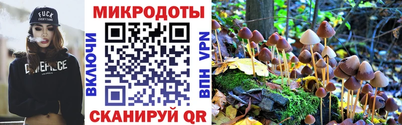Галлюциногенные грибы GOLDEN TEACHER Губкинский